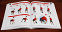 detailed image of the kettlebell book steve cotter